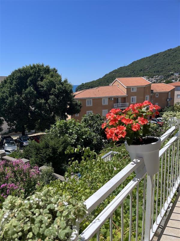 Apartmani Neda Bane Petrovac ภายนอก รูปภาพ