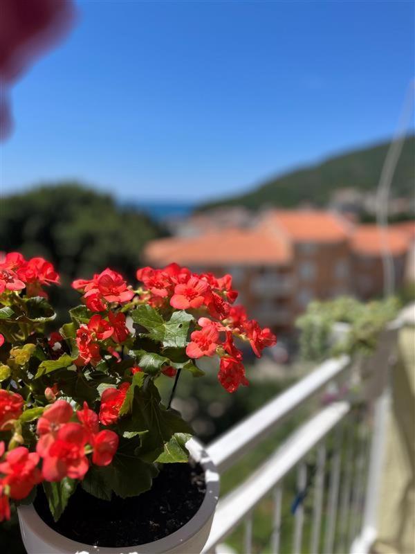 Apartmani Neda Bane Petrovac ภายนอก รูปภาพ