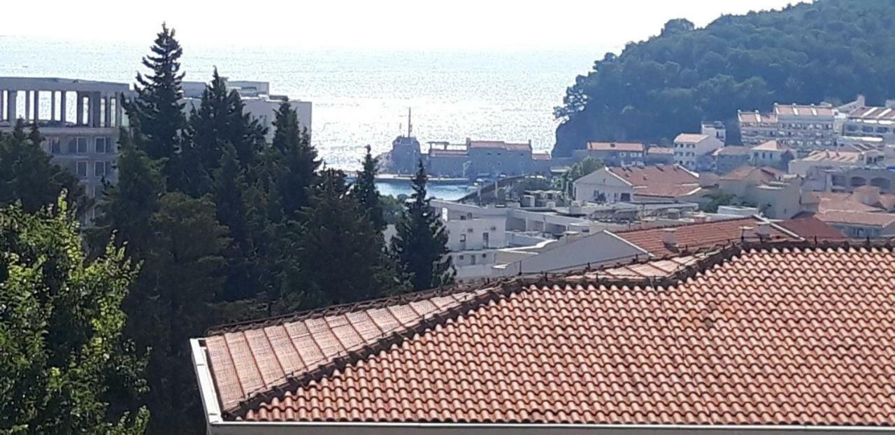 Apartmani Neda Bane Petrovac ภายนอก รูปภาพ